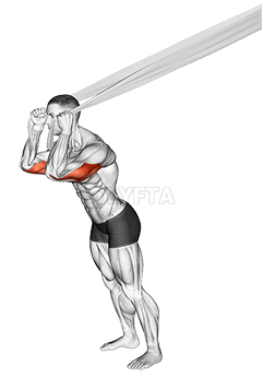 Overhead Triceps Extension with Bed Sheet demonstration