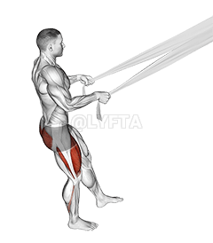 Assisted Pistol Squat with Bed Sheet demonstration