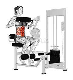 Lever Seated Crunch demonstration