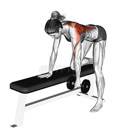 Dumbbell Rear Delt Row demonstration