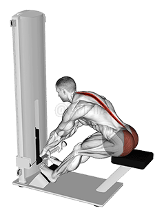 Thumbnail for the video of exercise: Lever Seated Good Morning