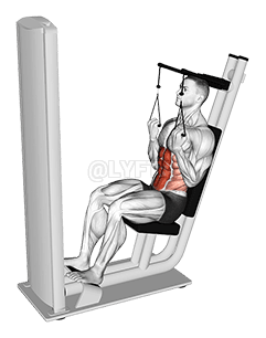 Lever Seated Crunch demonstration