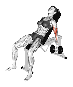 Dumbbell Incline Biceps Curl demonstration
