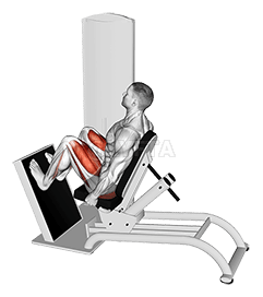 Lever Seated Horizontal Leg Press demonstration
