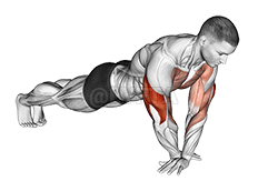 Thumbnail for the video of exercise: Cross Arms Push-up