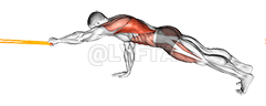Resistance Band Front Plank with Single Arm Pulldown