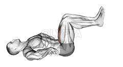 Thumbnail for the video of exercise: Heel Drops