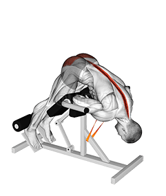 Resistance Band 45 degrees Hyperextension demonstration