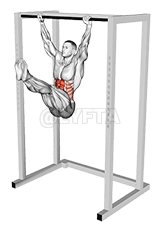 Hanging Toes to Bar