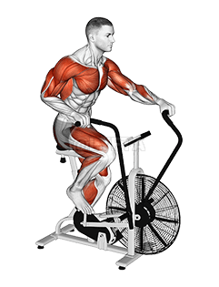 Assault Bike Run