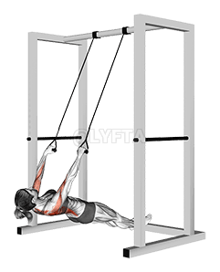 Inverted Row with Straps