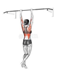 Shoulder Grip Pull-up demonstration