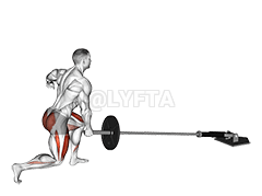 Landmine Rear Lunge demonstration