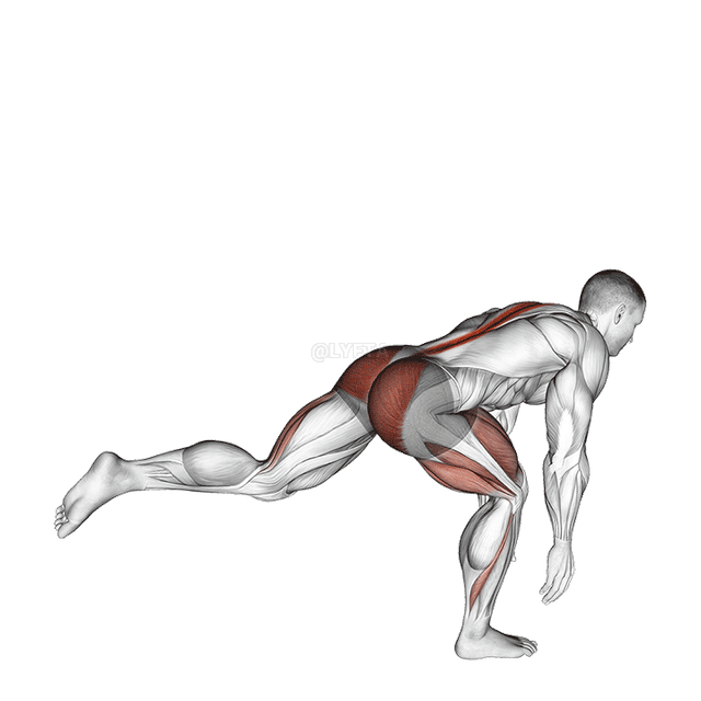 Bodyweight Single Leg Deadlift demonstration