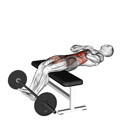 Thumbnail for the video of exercise: Romanian Chair Sit-Up