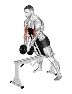 Dumbbell Single Spider Curl with Chest Support demonstration