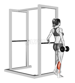 Dumbbell Single Leg Calf Raise demonstration