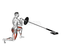 Landmine Rear Lunge demonstration