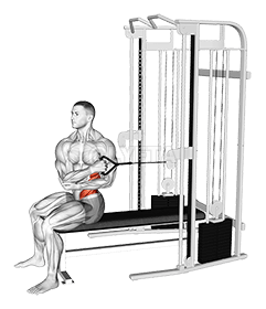 Thumbnail for the video of exercise: Cable Seated Cross Arm Twist