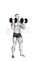 Dumbbell Standing Alternate Arnold Press demonstration