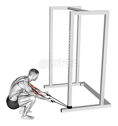 Band Kneeling Preacher Curl demonstration