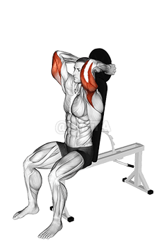 Weighted Seated Triceps Extension demonstration