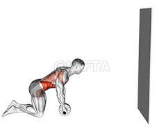 Wheel Rollout with Wall Support