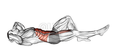 Crunch with Leg Lift demonstration