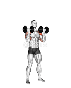 Dumbbell Standing Arnold Press demonstration