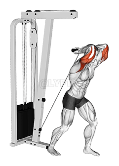 Cable Overhead Tricep Extension StraighT-bar demonstration