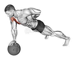 Thumbnail for the video of exercise: Single Arm Push-Up on Medicine Ball