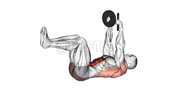 Thumbnail for the video of exercise: Segment Mortuus Bug