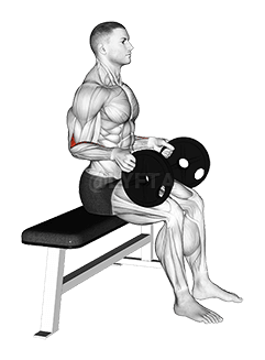 Thumbnail for the video of exercise: Weighted Seated Neutral Wrist Curl