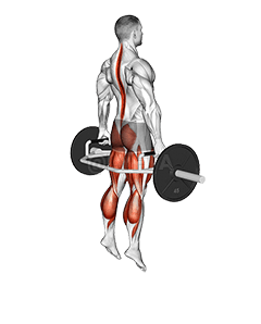 Trap Bar Jump Squat demonstration