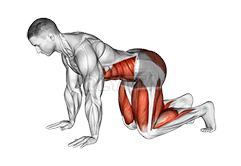 Bear Plank demonstration