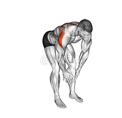 Bodyweight Bent Over Rear Delt Fly demonstration