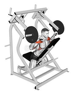 Thumbnail for the video of exercise: Hebelrückwärts-Schulterdrücken