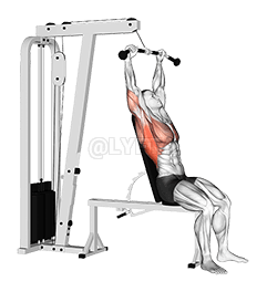 Cable Seated Pullover demonstration