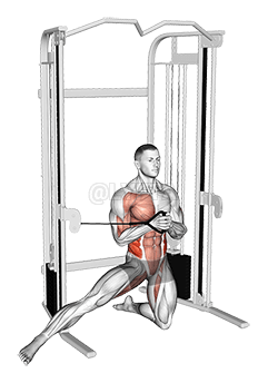 Thumbnail for the video of exercise: Cable Half Kneeling Adductor Pallof Press