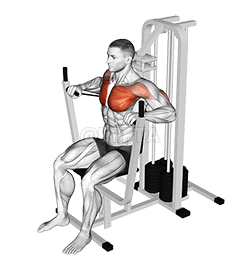 Lever Banded Chest Press demonstration