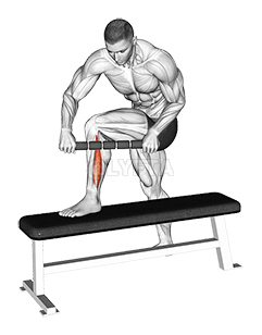 Thumbnail for the video of exercise: Peroneo de cola de tigre