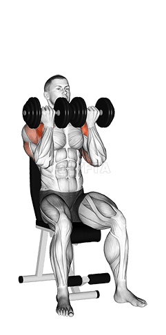 Dumbbell Seated Close Grip Press demonstration