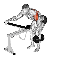 Dumbbell One Arm Reverse Fly demonstration