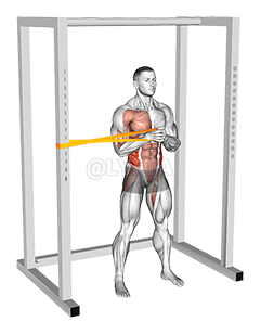 Resistance Band Horizontal Pallof Press