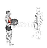 Thumbnail for the video of exercise: Medizinball-Überkopfwurf