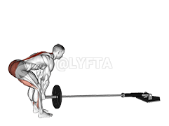 Landmine Romanian Deadlift demonstration