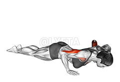 Reverse Dip demonstration