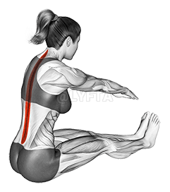 Spine Stretch demonstration