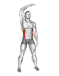 Standing Side Bend demonstration