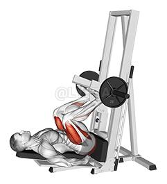 Image of Sled Vertical Leg Press